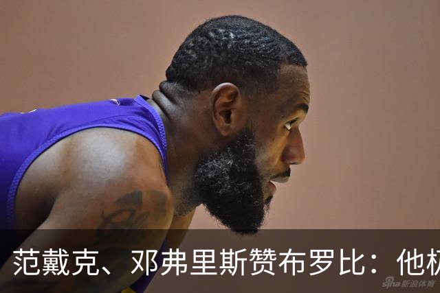 范戴克、邓弗里斯赞布罗比：他极难对付 和卢卡库有相似之处